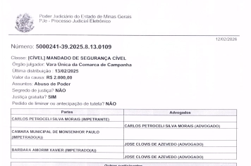 Processo 500483-39.2025.8.13.0109